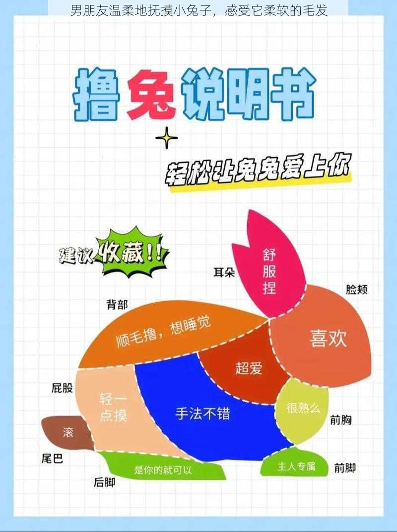 男朋友温柔地抚摸小兔子,感受它柔软的毛发