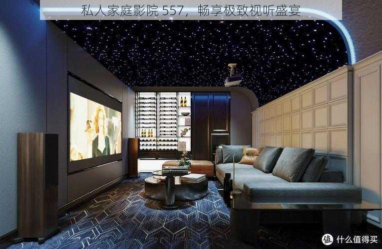 私人家庭影院 557,畅享极致视听盛宴