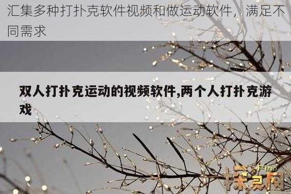 汇集多种打扑克软件视频和做运动软件,满足不同需求