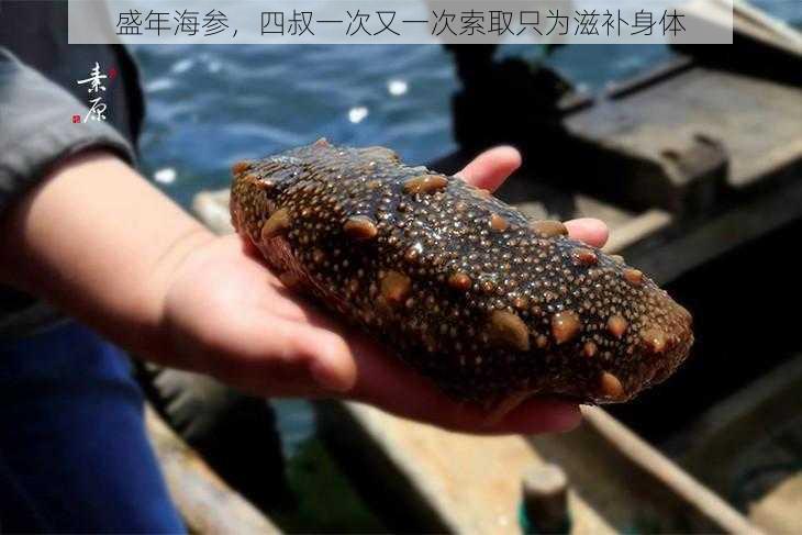 盛年海参,四叔一次又一次索取只为滋补身体