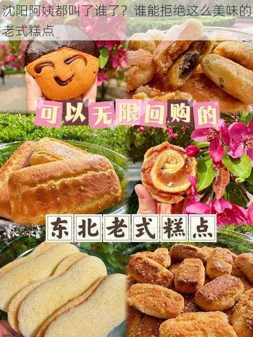 沈阳阿姨都叫了谁了?谁能拒绝这么美味的老式糕点