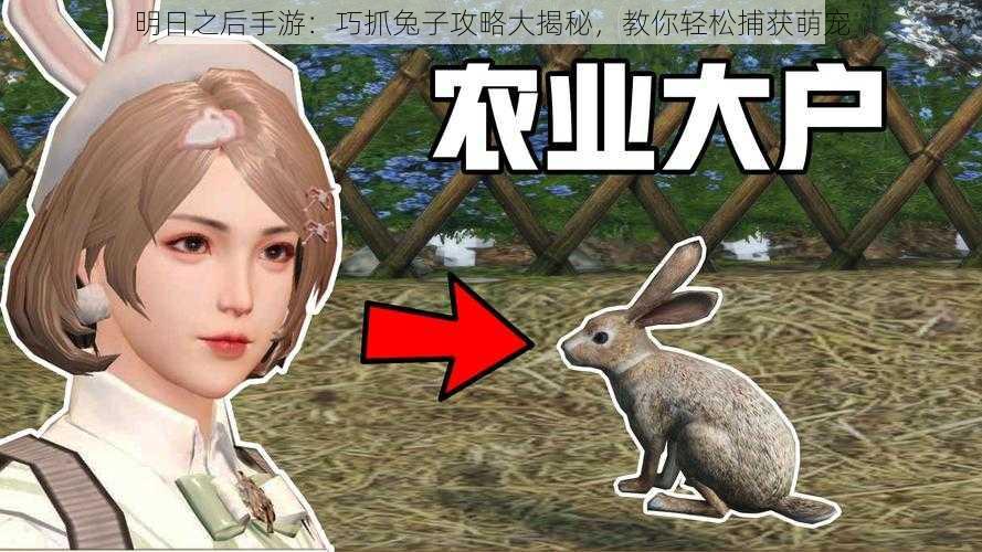 明日之后手游:巧抓兔子攻略大揭秘,教你轻松捕获萌宠