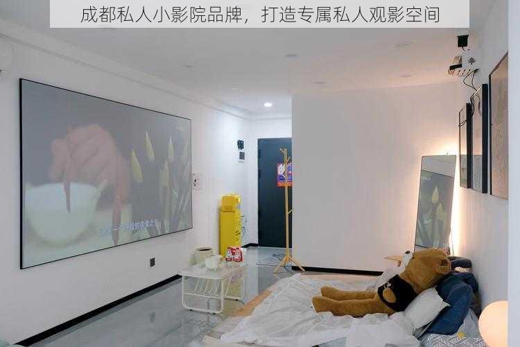 成都私人小影院品牌,打造专属私人观影空间