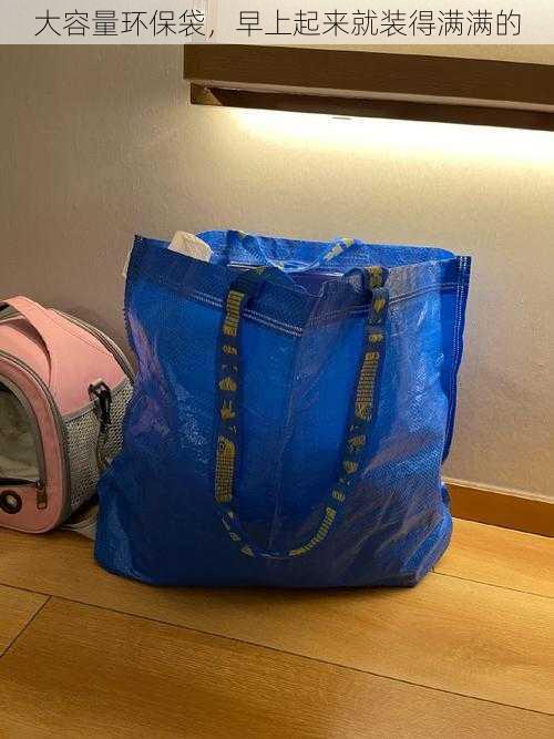 大容量环保袋,早上起来就装得满满的