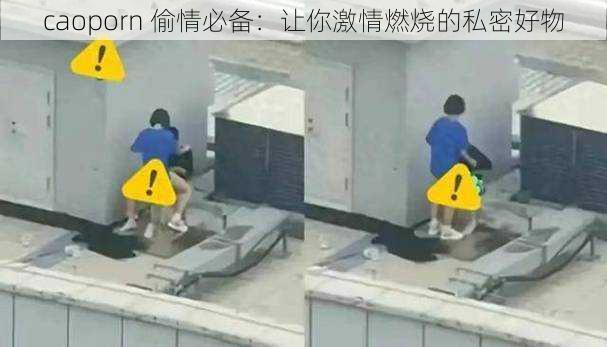 caoporn 偷情必备:让你激情燃烧的私密好物
