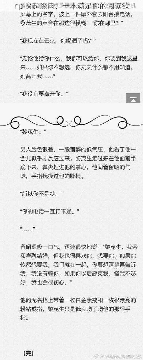 np 文超级肉,一本满足你的阅读欲