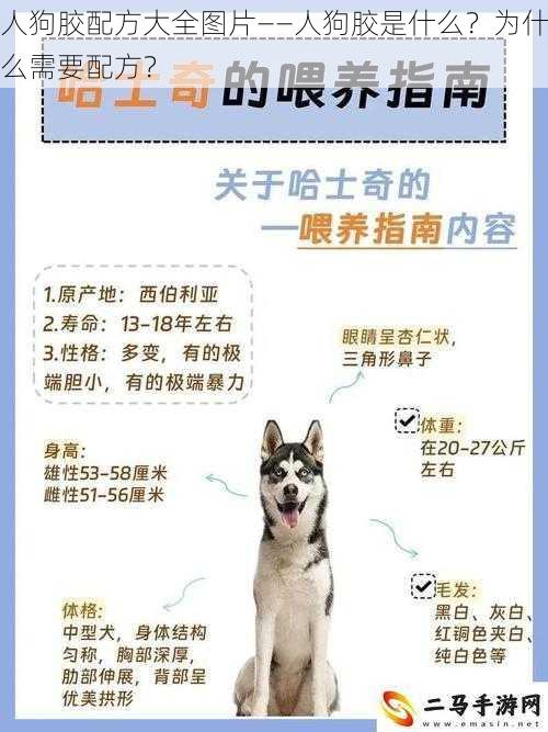 人狗胶配方大全图片——人狗胶是什么?为什么需要配方?