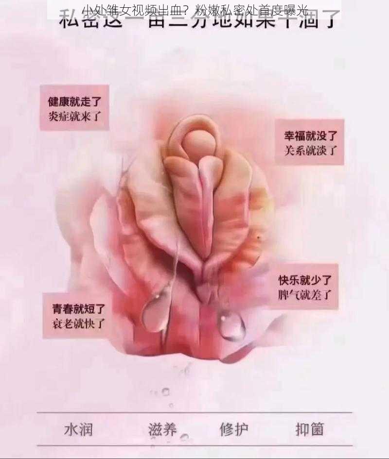 小处雏女视频出血?粉嫩私密处首度曝光