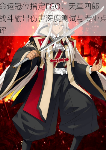 命运冠位指定FGO:天草四郎战斗输出伤害深度测试与专业点评