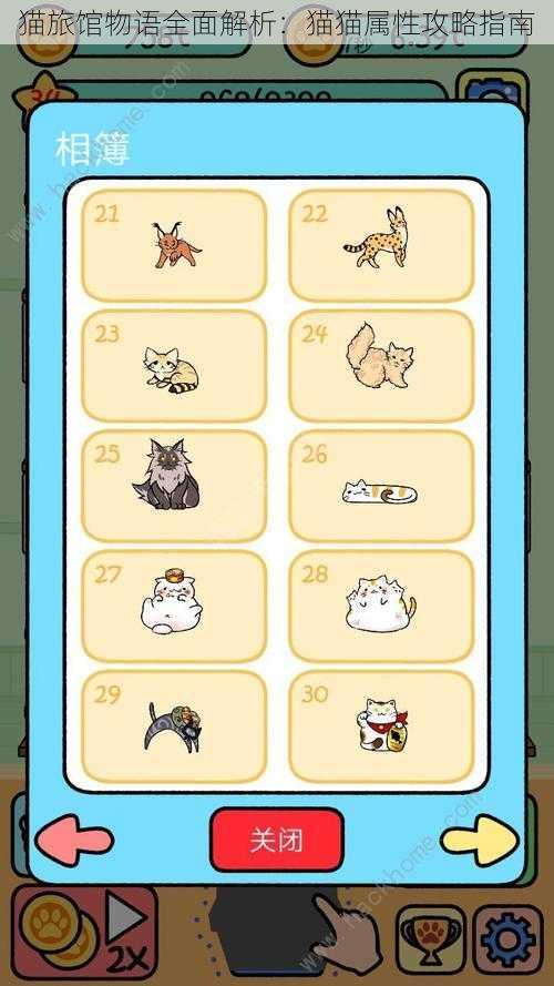 猫旅馆物语全面解析:猫猫属性攻略指南