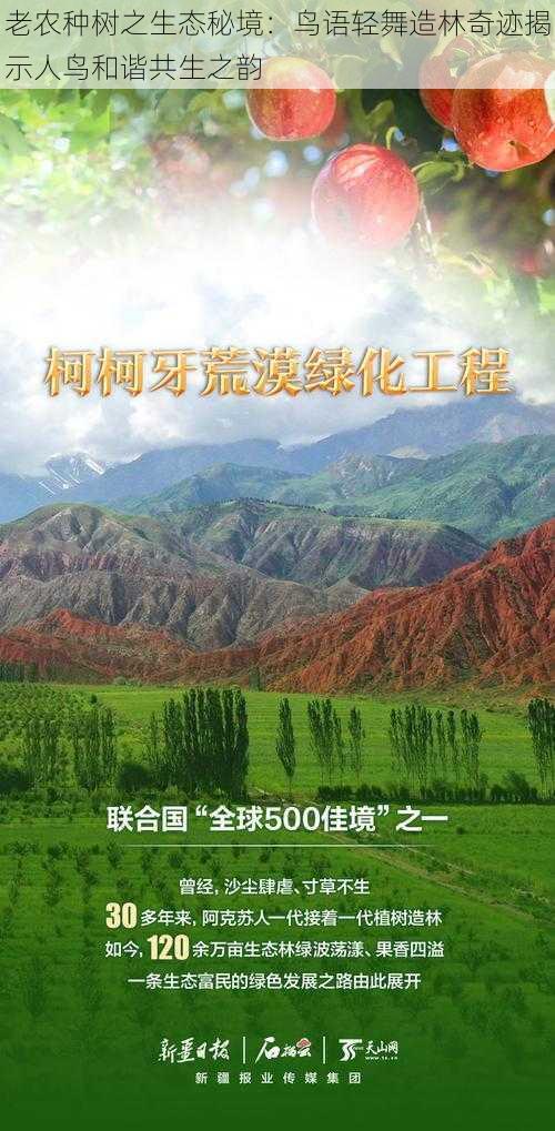 老农种树之生态秘境:鸟语轻舞造林奇迹揭示人鸟和谐共生之韵