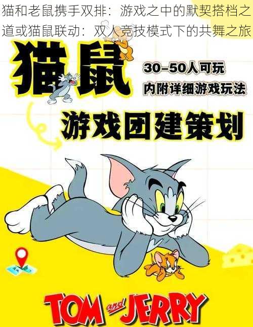 猫和老鼠携手双排:游戏之中的默契搭档之道或猫鼠联动:双人竞技模式下的共舞之旅