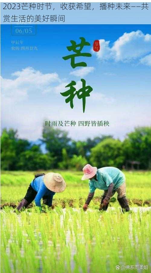 2023芒种时节,收获希望,播种未来——共赏生活的美好瞬间