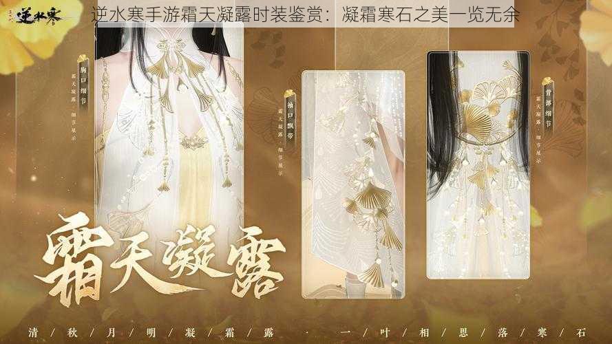 逆水寒手游霜天凝露时装鉴赏:凝霜寒石之美一览无余