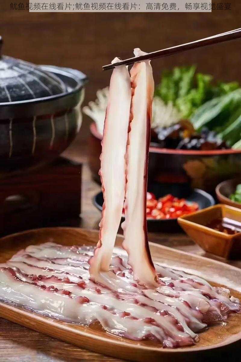 鱿鱼视频在线看片;鱿鱼视频在线看片:高清免费,畅享视觉盛宴