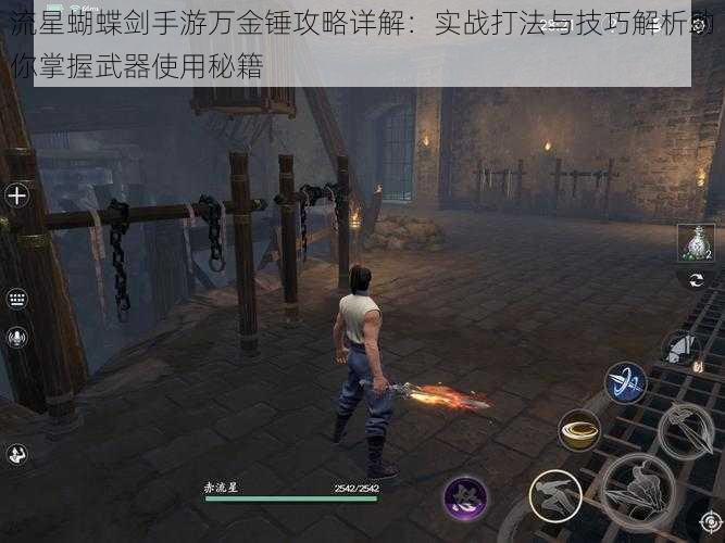 流星蝴蝶剑手游万金锤攻略详解:实战打法与技巧解析助你掌握武器使用秘籍