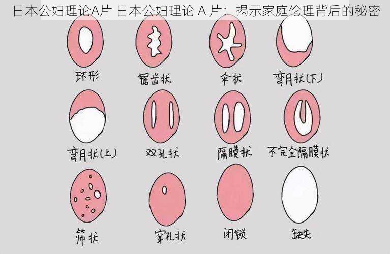 日本公妇理论A片 日本公妇理论 A 片:揭示家庭伦理背后的秘密