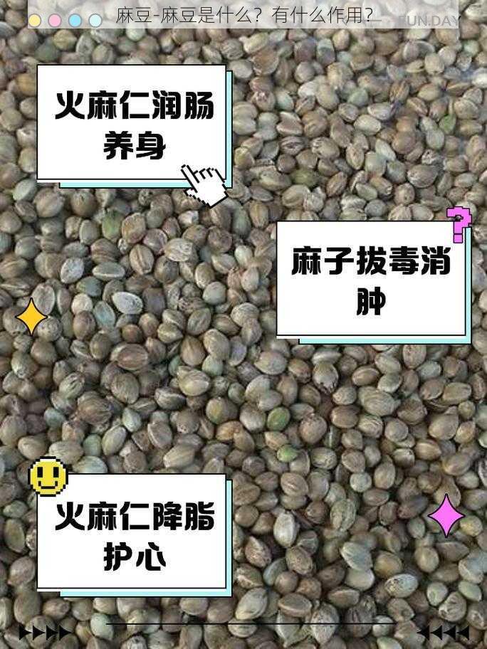 麻豆-麻豆是什么?有什么作用?