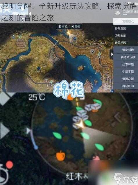 黎明觉醒:全新升级玩法攻略,探索觉醒之刻的冒险之旅