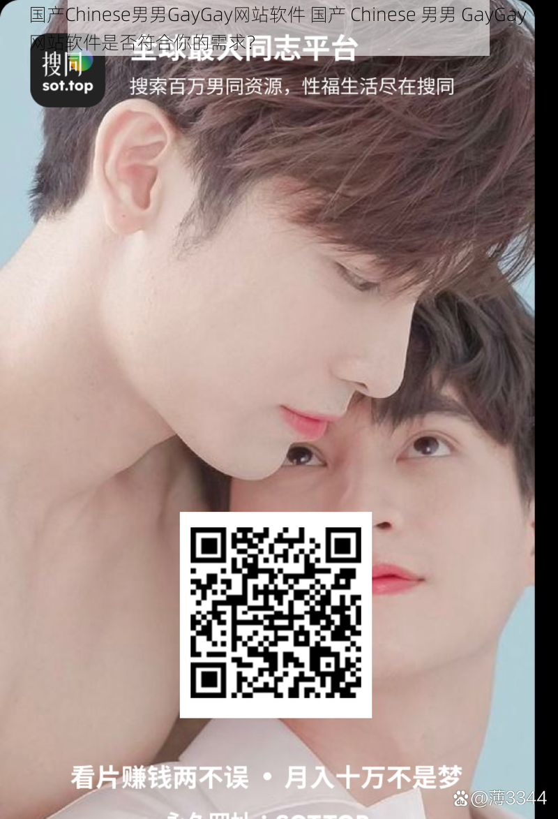 国产Chinese男男GayGay网站软件 国产 Chinese 男男 GayGay 网站软件是否符合你的需求?