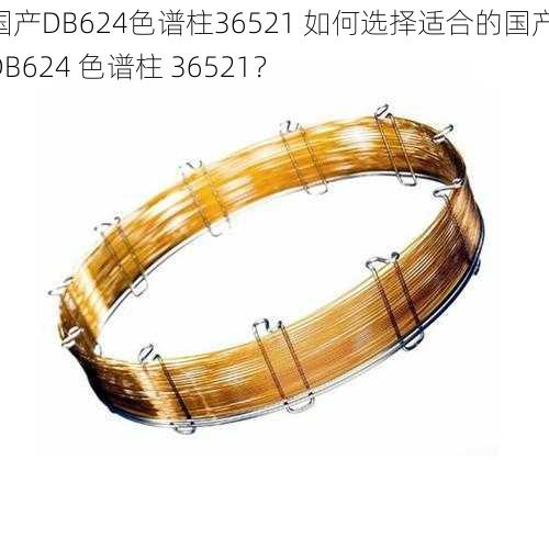 国产DB624色谱柱36521 如何选择适合的国产 DB624 色谱柱 36521?