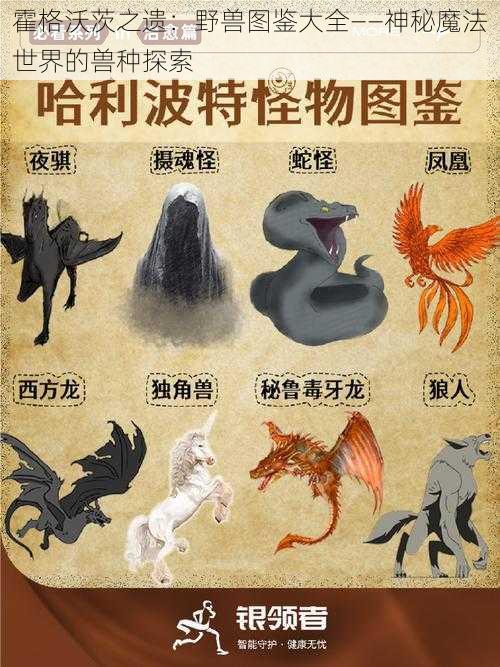 霍格沃茨之遗:野兽图鉴大全——神秘魔法世界的兽种探索