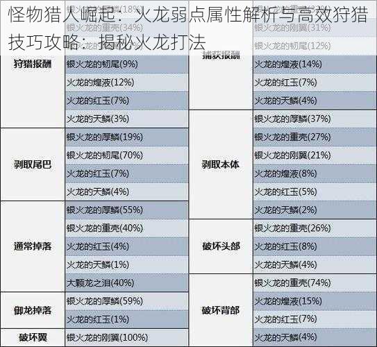 怪物猎人崛起:火龙弱点属性解析与高效狩猎技巧攻略:揭秘火龙打法