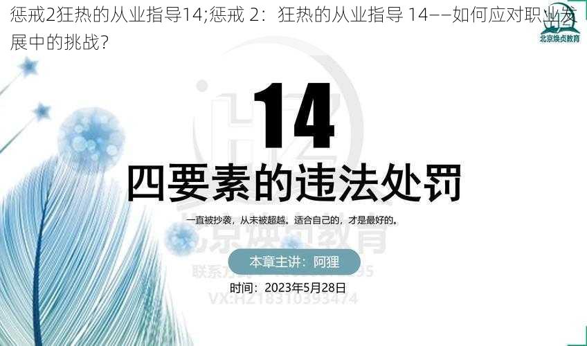 惩戒2狂热的从业指导14;惩戒 2:狂热的从业指导 14——如何应对职业发展中的挑战?