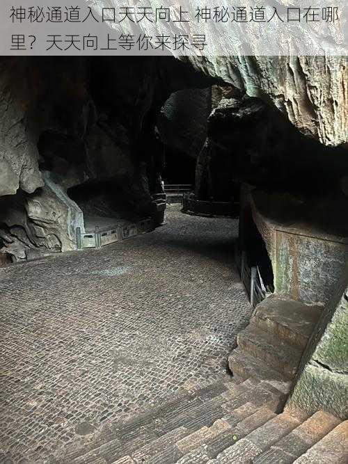 神秘通道入口天天向上 神秘通道入口在哪里?天天向上等你来探寻