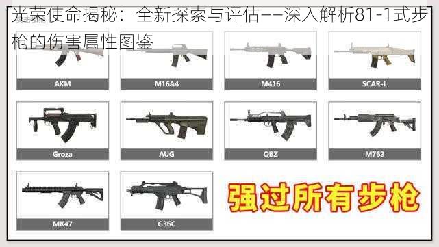 光荣使命揭秘:全新探索与评估——深入解析81-1式步枪的伤害属性图鉴