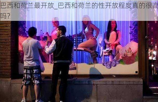 巴西和荷兰最开放_巴西和荷兰的性开放程度真的很高吗?