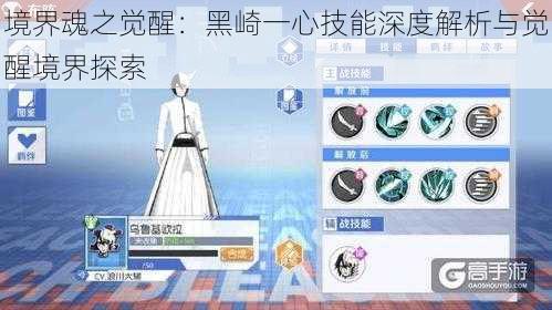 境界魂之觉醒:黑崎一心技能深度解析与觉醒境界探索