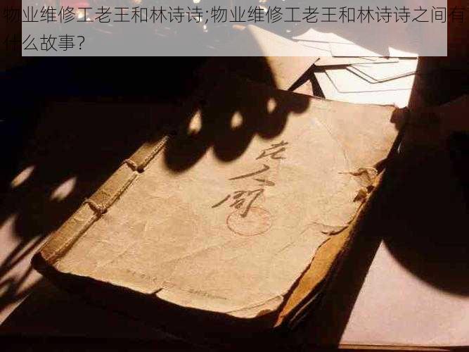 物业维修工老王和林诗诗;物业维修工老王和林诗诗之间有什么故事?