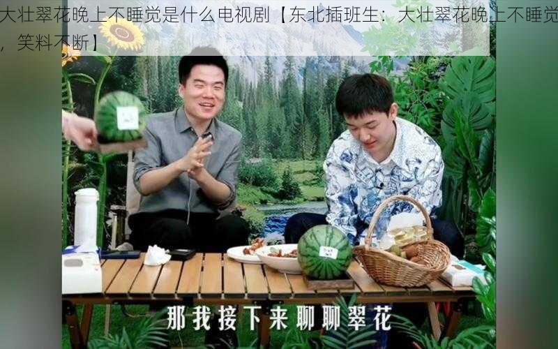 大壮翠花晚上不睡觉是什么电视剧【东北插班生:大壮翠花晚上不睡觉,笑料不断】