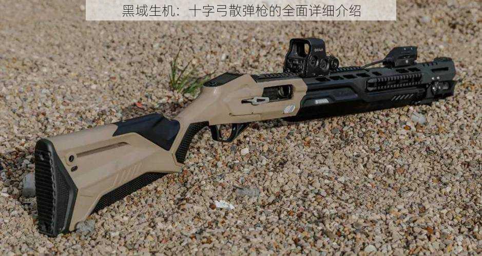 黑域生机:十字弓散弹枪的全面详细介绍
