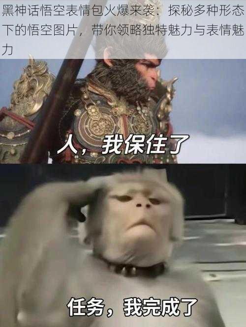 黑神话悟空表情包火爆来袭:探秘多种形态下的悟空图片,带你领略独特魅力与表情魅力