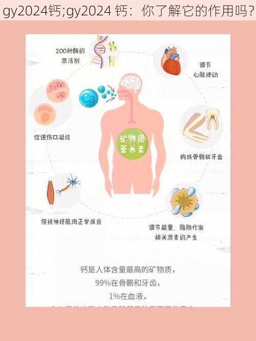 gy2024钙;gy2024 钙:你了解它的作用吗?