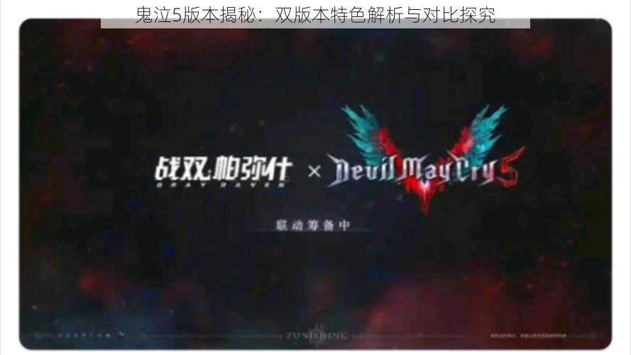 鬼泣5版本揭秘:双版本特色解析与对比探究
