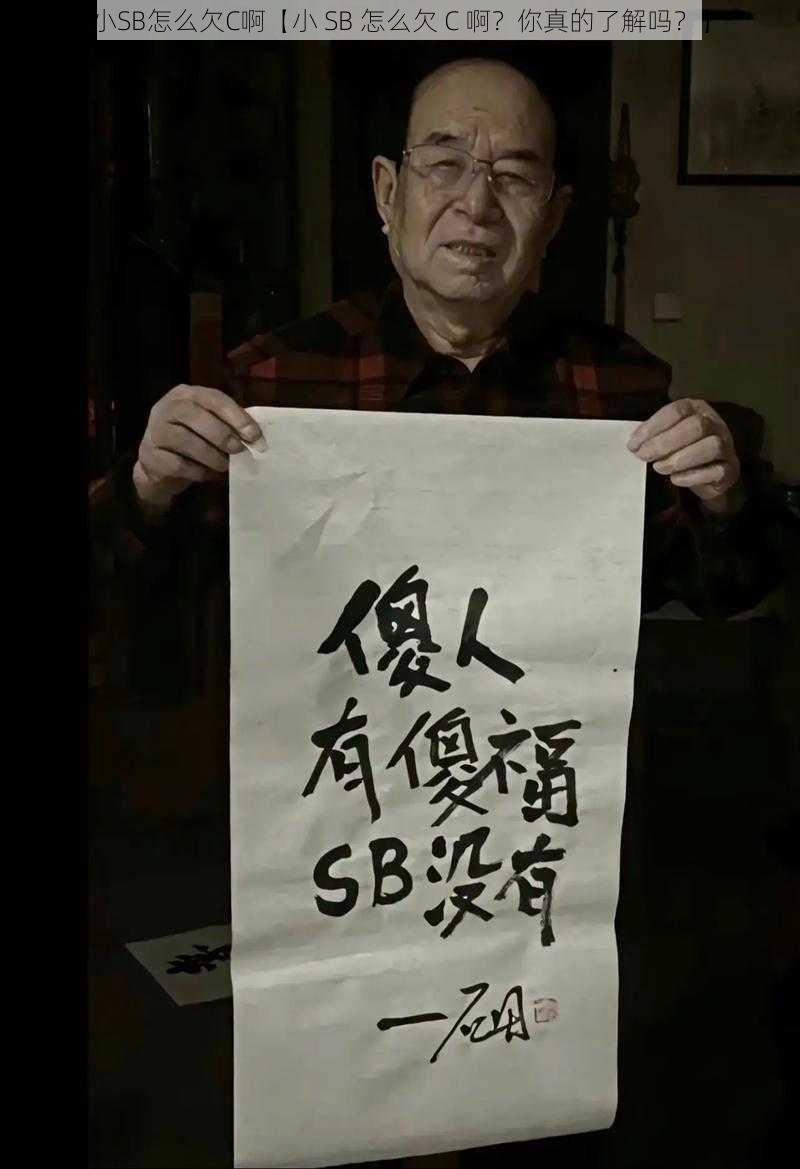 小SB怎么欠C啊【小 SB 怎么欠 C 啊?你真的了解吗?】