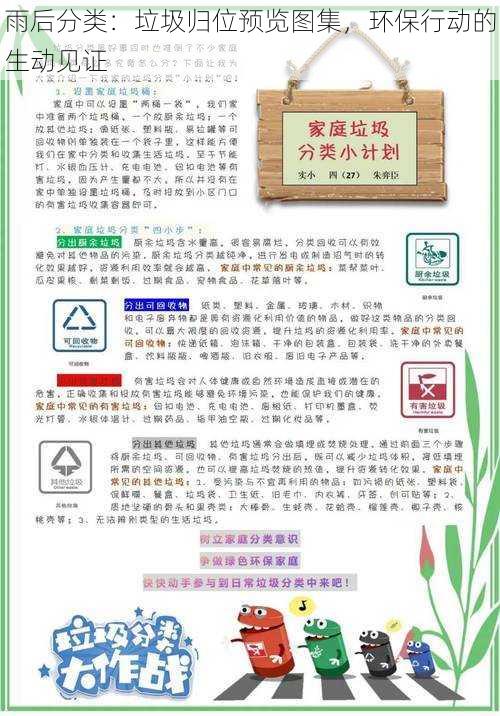 雨后分类:垃圾归位预览图集,环保行动的生动见证