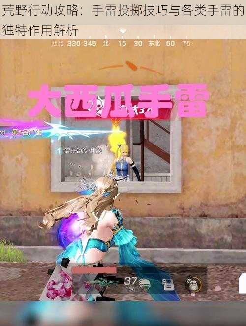 荒野行动攻略:手雷投掷技巧与各类手雷的独特作用解析