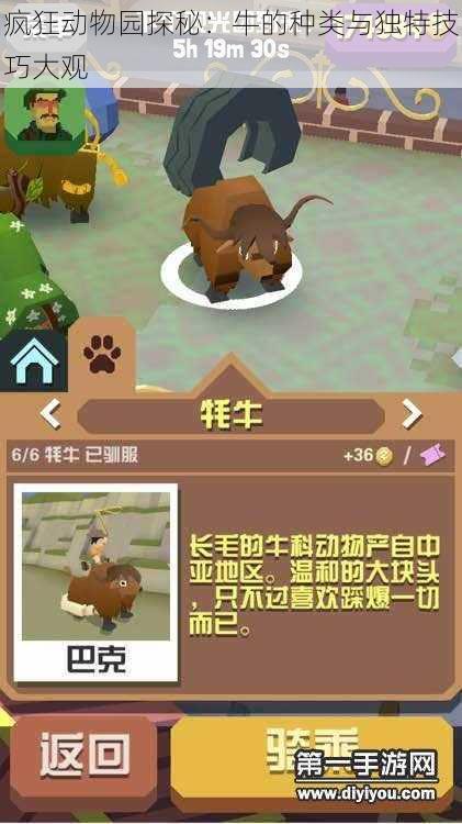 疯狂动物园探秘:牛的种类与独特技巧大观