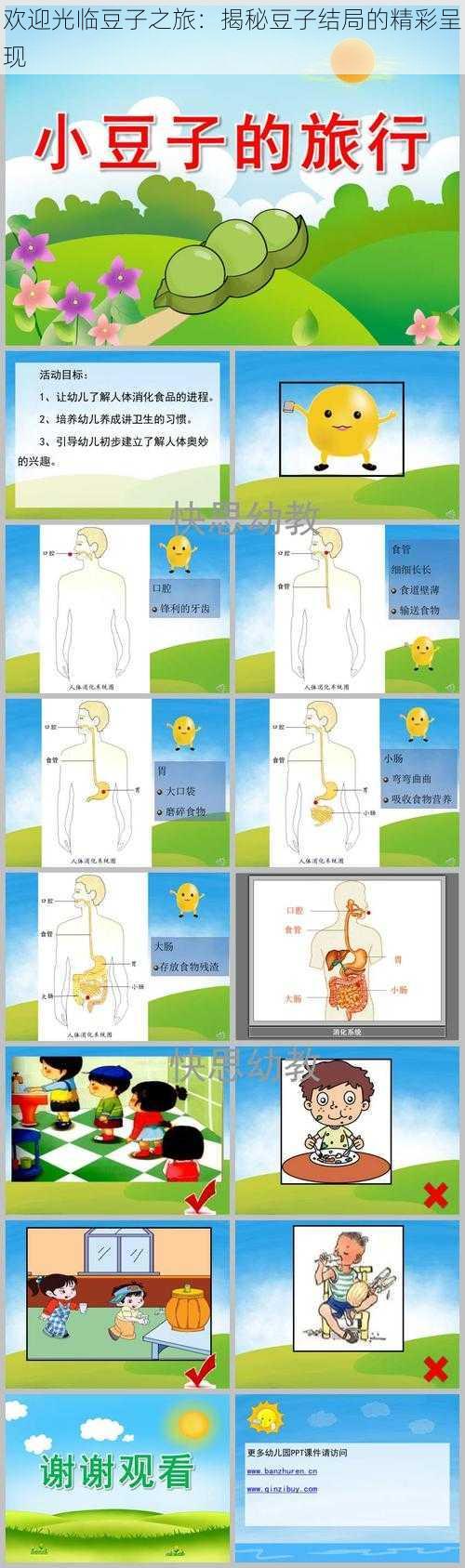 欢迎光临豆子之旅:揭秘豆子结局的精彩呈现