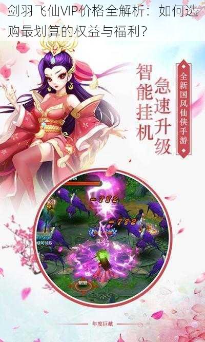 剑羽飞仙VIP价格全解析:如何选购最划算的权益与福利?