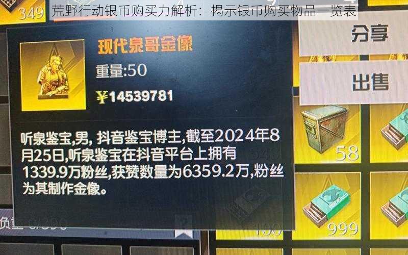 荒野行动银币购买力解析:揭示银币购买物品一览表