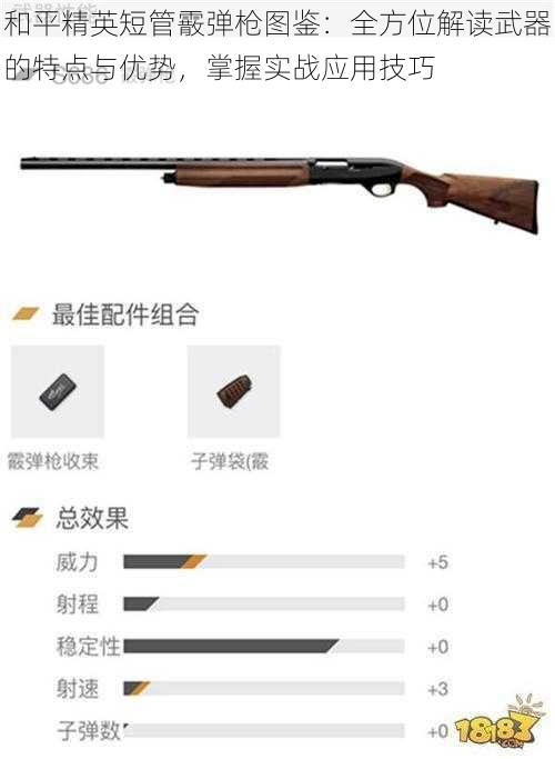 和平精英短管霰弹枪图鉴:全方位解读武器的特点与优势,掌握实战应用技巧