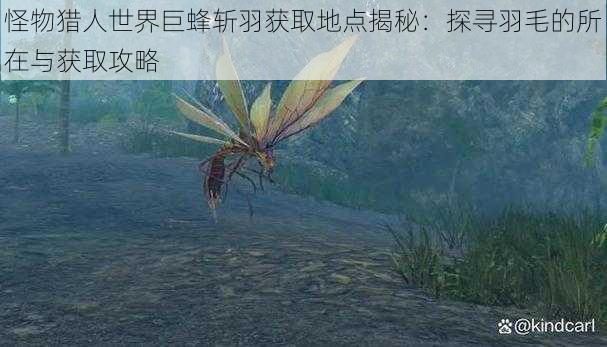 怪物猎人世界巨蜂斩羽获取地点揭秘:探寻羽毛的所在与获取攻略