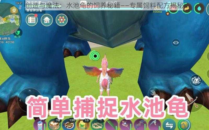 创造与魔法:水池龟的饲养秘籍——专属饲料配方揭秘