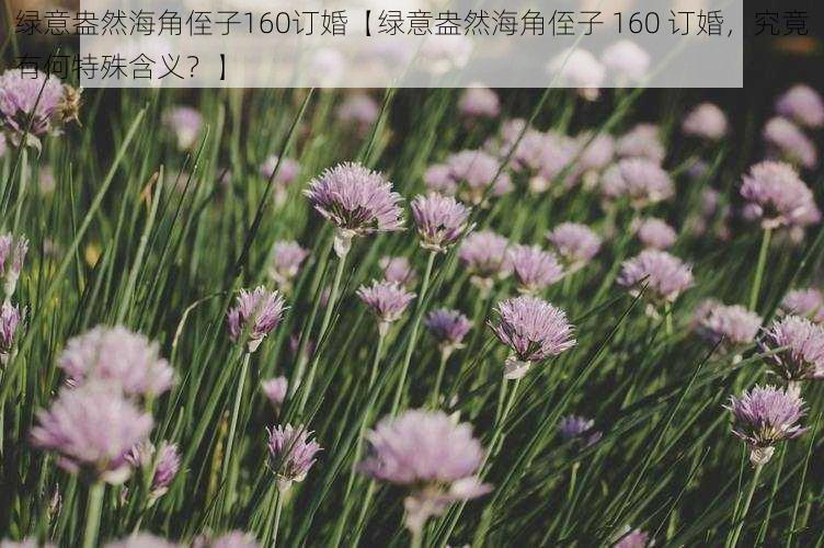 绿意盎然海角侄子160订婚【绿意盎然海角侄子 160 订婚,究竟有何特殊含义?】