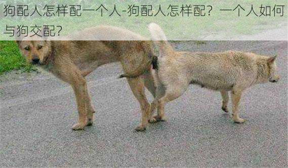 狗配人怎样配一个人-狗配人怎样配?一个人如何与狗交配?